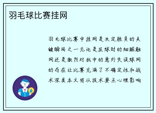 羽毛球比赛挂网