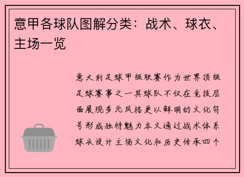 意甲各球队图解分类：战术、球衣、主场一览