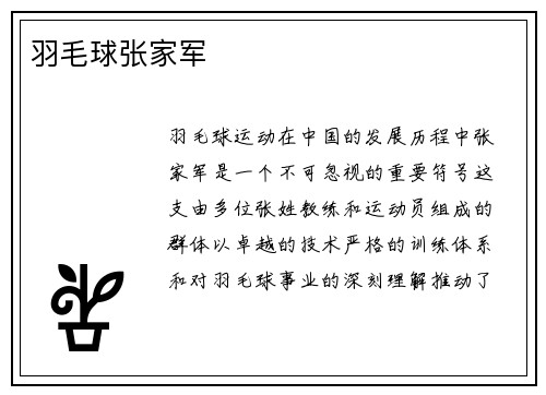羽毛球张家军